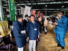 全日本ホルスタイン共進会2