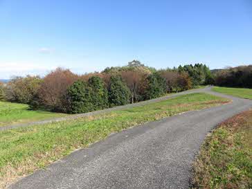 アップダウンの様子