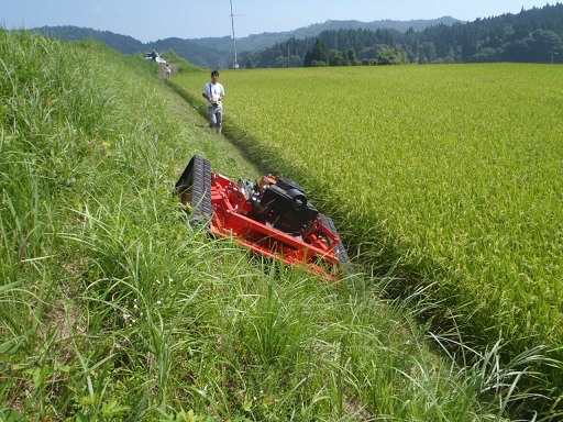 ラジコン除草機の活用状況