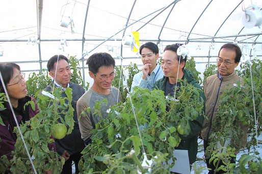 日南トマト就農サポートチーム