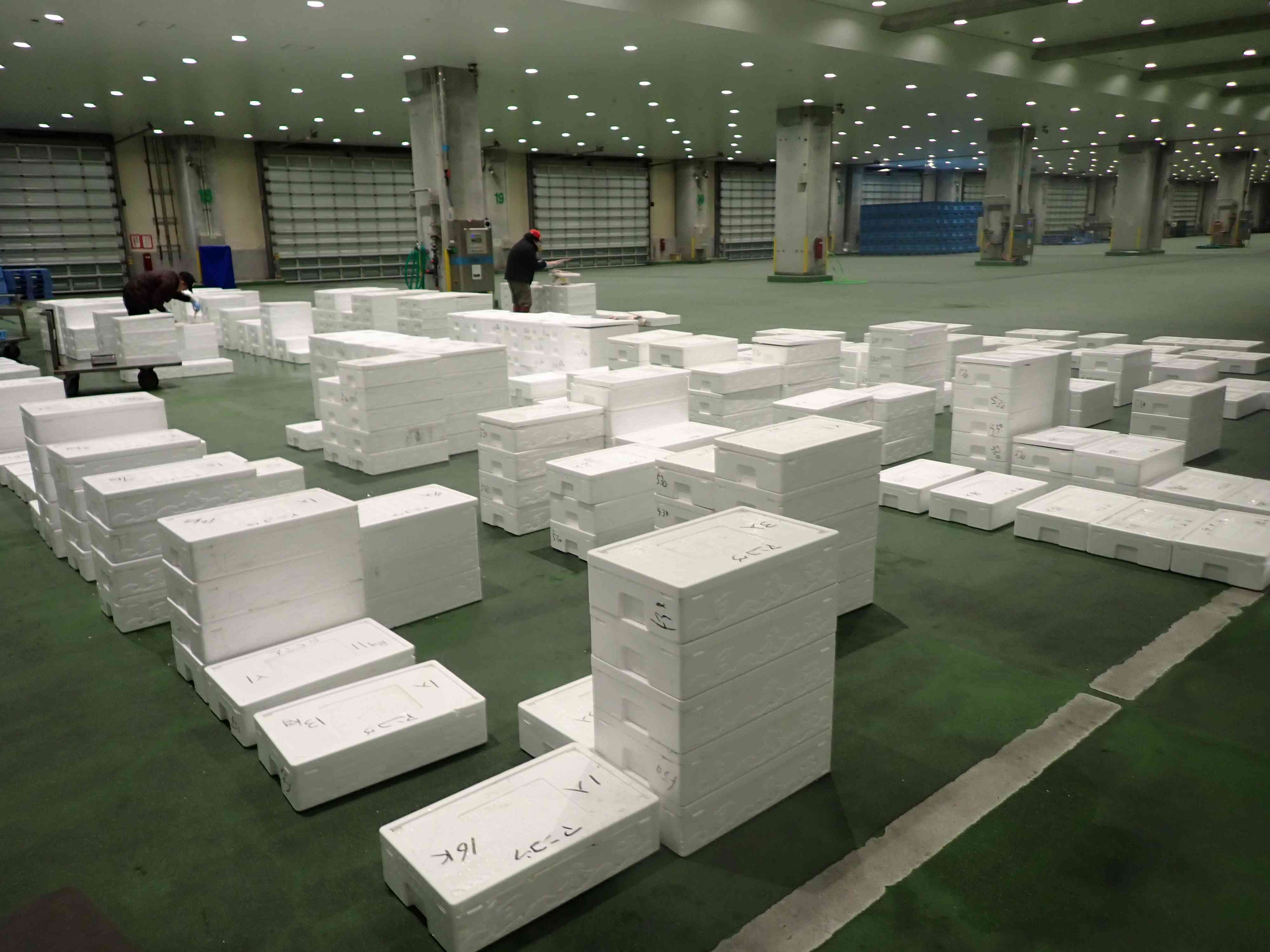 境港市場沖底漁獲物