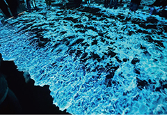 鳥取県ゾーンプロジェクションマッピングの写真3