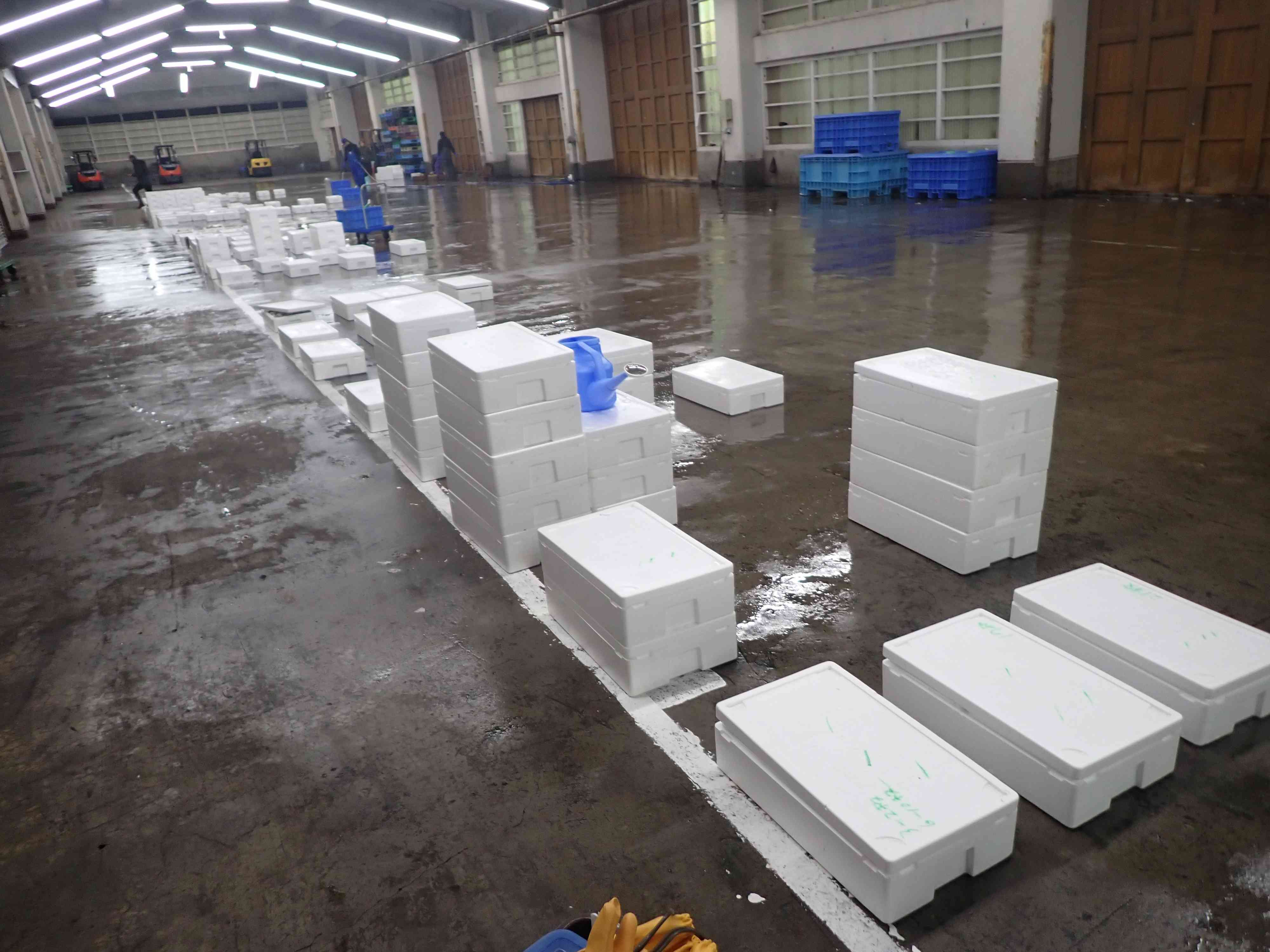 網代水揚げ状況