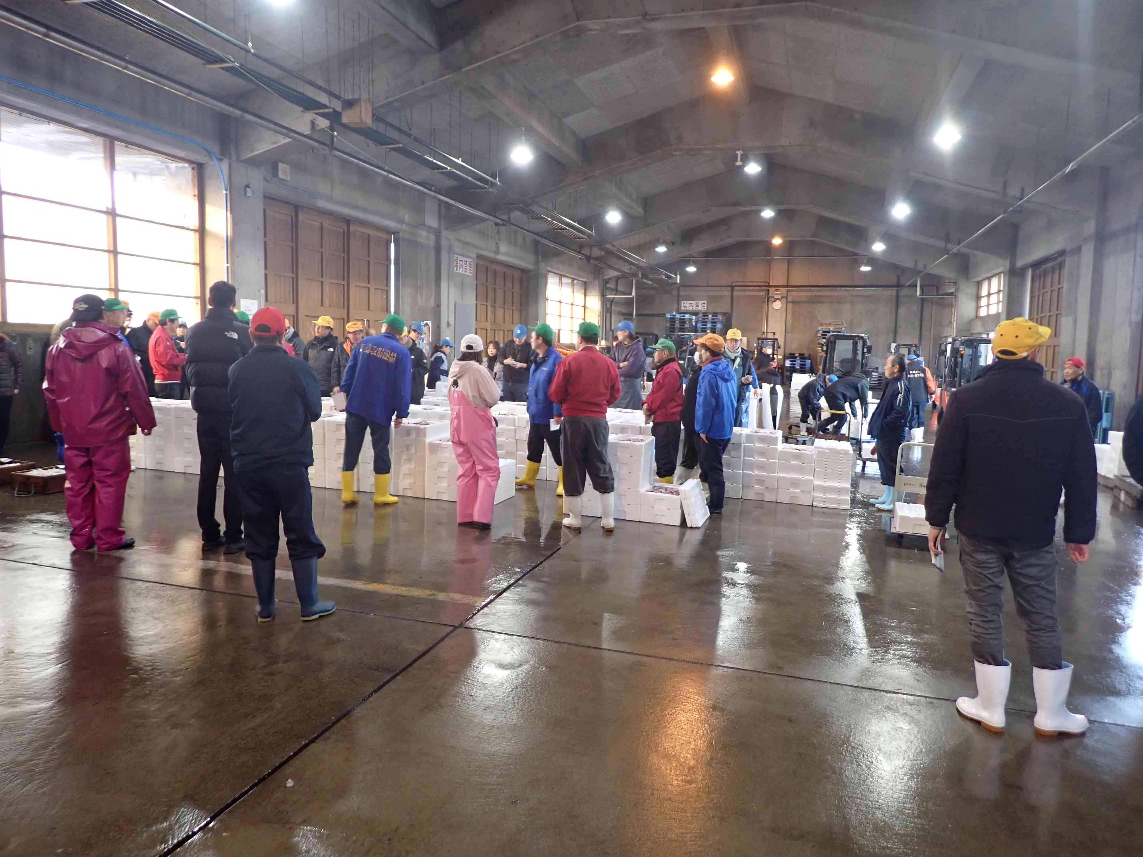 賀露セリの様子