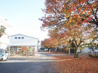 校内の紅葉の様子