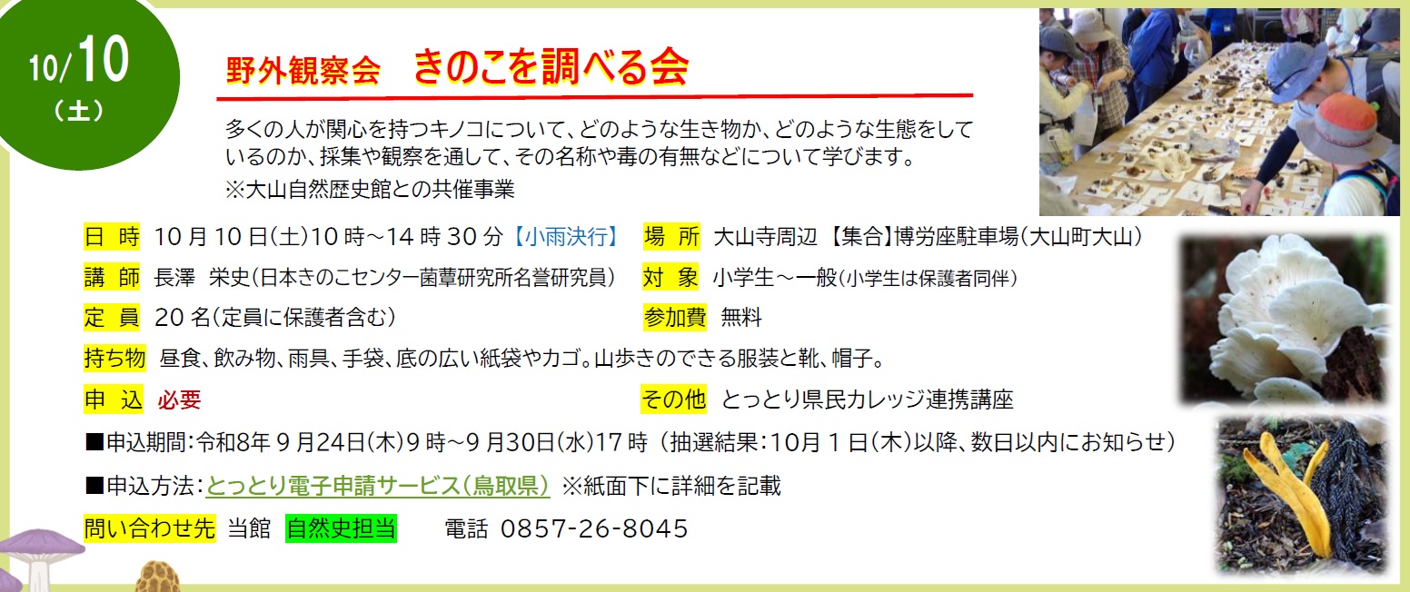 チラシ部分