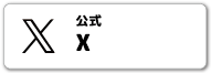 公式X