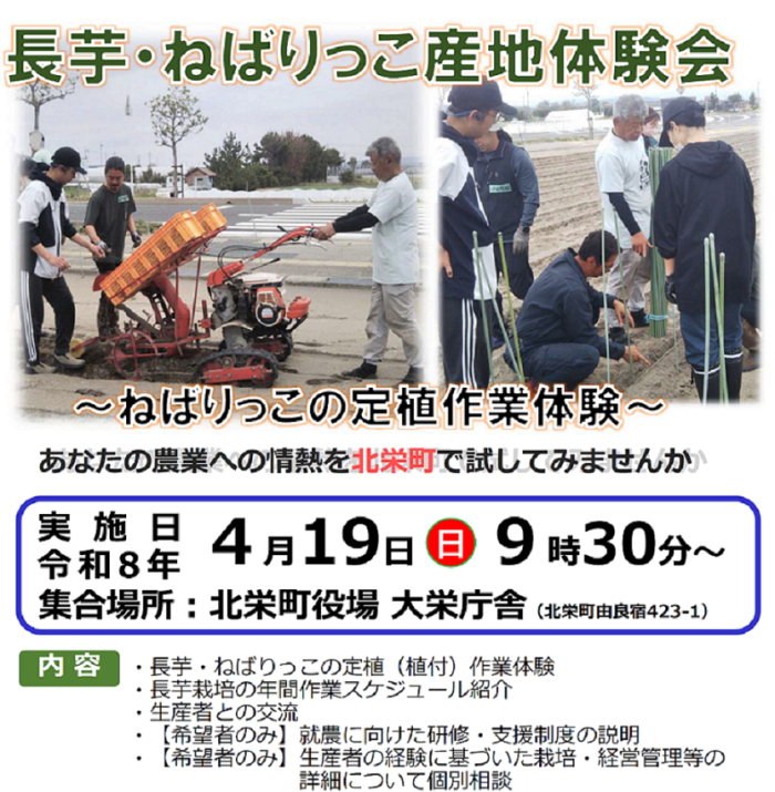 長芋・ねばりっこ産地体験会