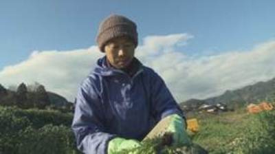 農業ってすごい！