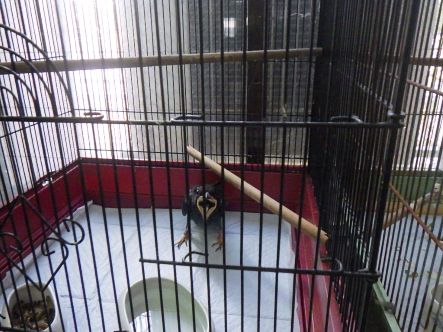 安佐動物公園到着