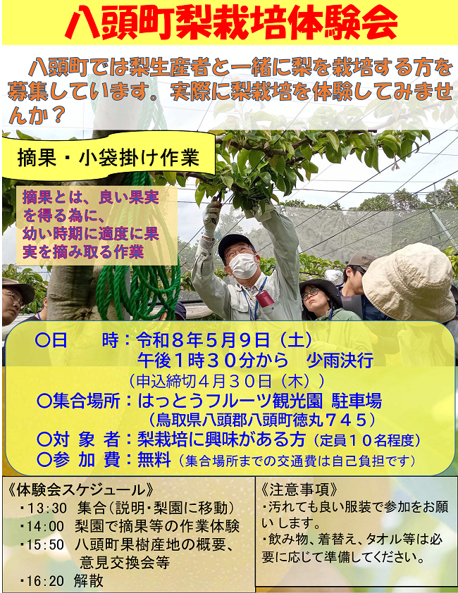 八頭体験会ちらし