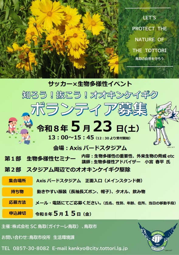 オオキンケイギクボランティア募集チラシ