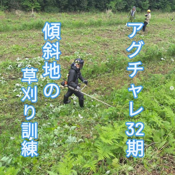 傾斜地の草刈り訓練