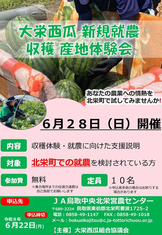 ちらし