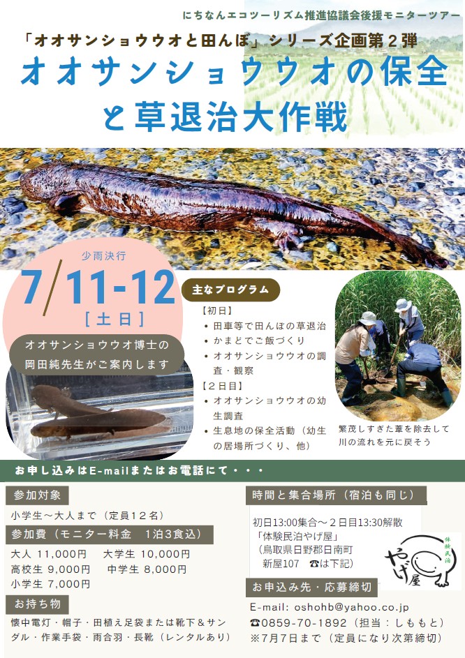 オオサンショウウオ調査＆草取り大作戦チラシ