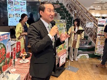 トッププロモーション2