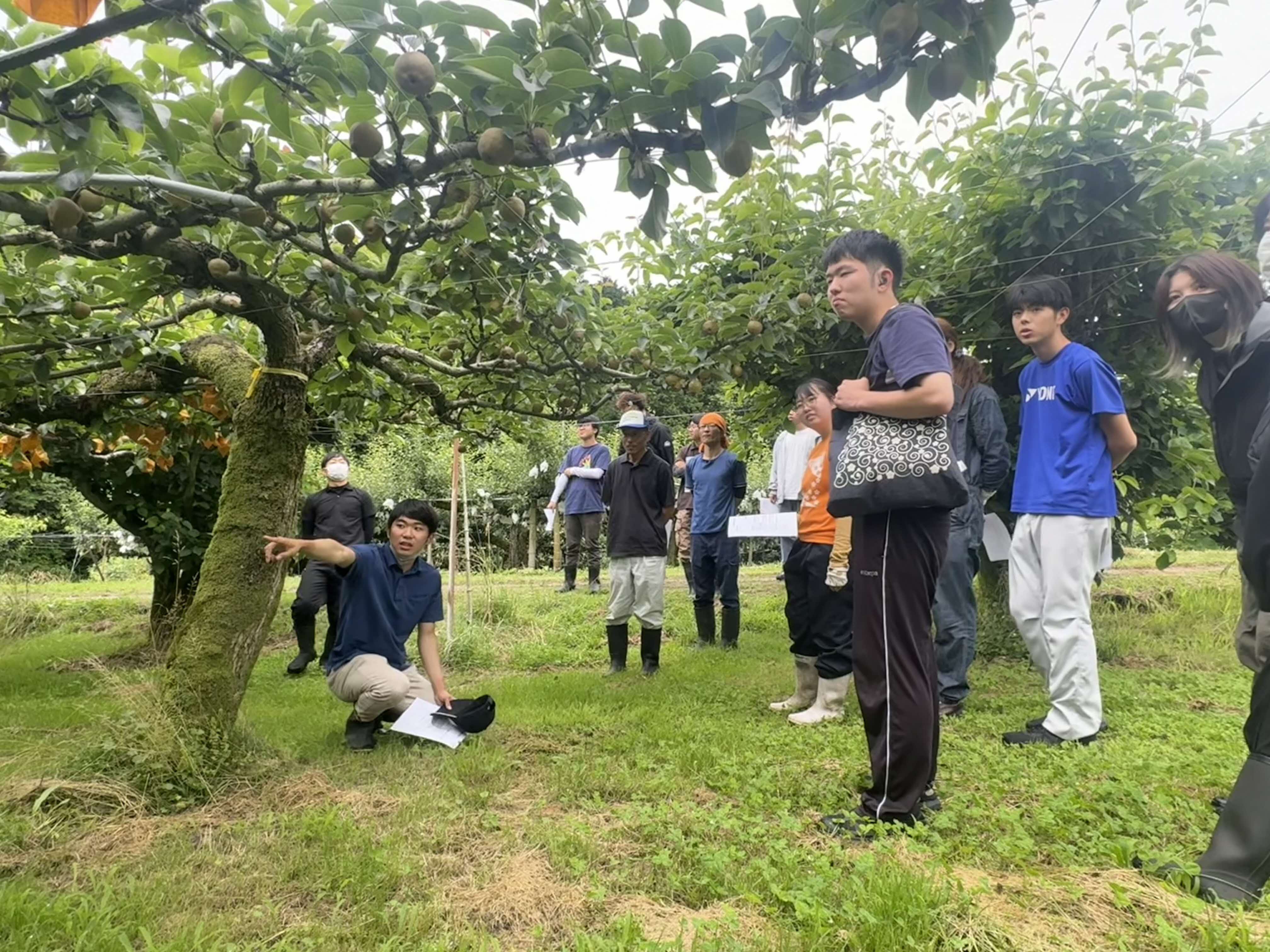 ほ場