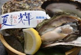 旬海料理 ぎんりんの写真