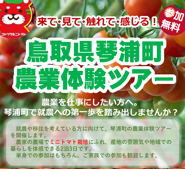 トマト画像