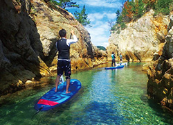 サップの写真2