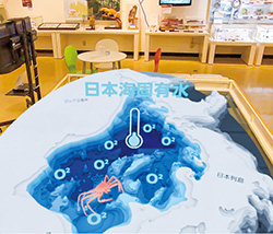 XRゴーグルの3D映像1