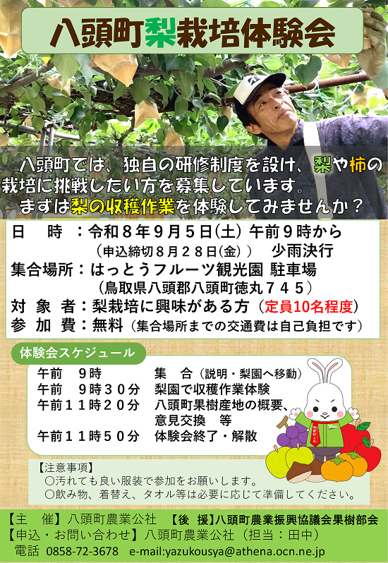 八頭チラシ