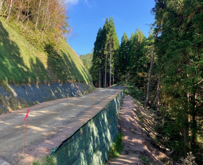 林業専用道富海福山線の写真