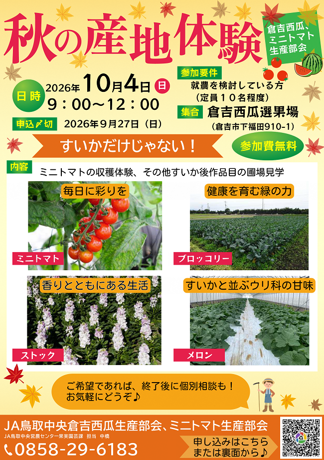 チラシ