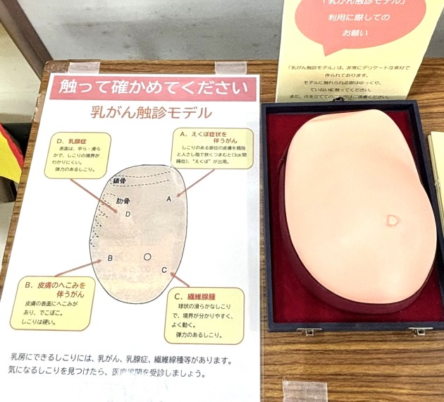 ピンクリボン月間パネル展示