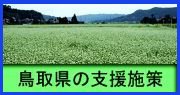 鳥取県の支援施策