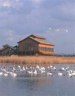 中海と米子水鳥公園画像