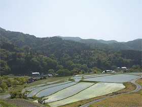 岩美町の棚田の風景写真