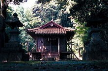 茂宇気神社の写真