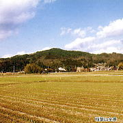 稲葉山の写真