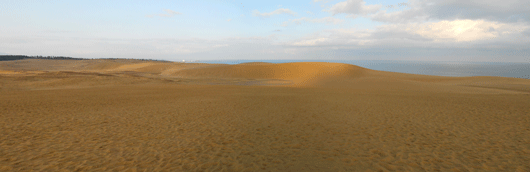 馬の背の風景