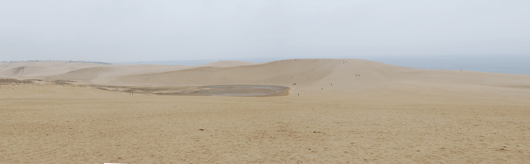 本日の砂丘