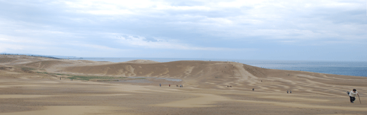 ５月１日朝の砂丘