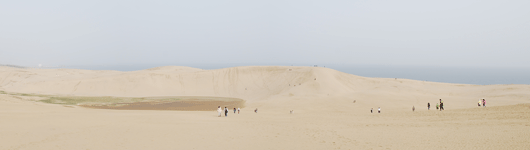 5月2日朝の砂丘