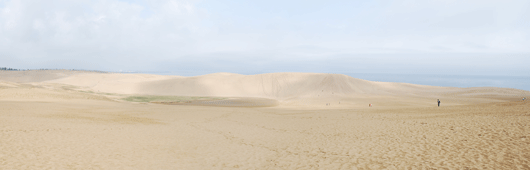 5月8日朝の砂丘
