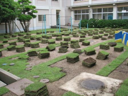 大栄小学校中庭（1）芝張り直前