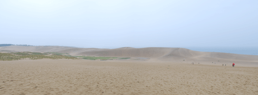 9月3日朝の砂丘