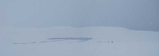 1月29日雪の鳥取砂丘