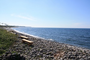 鳴り石の浜