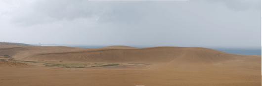 雨の鳥取砂丘