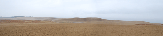 11月26日朝の砂丘