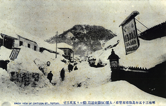 鳥取市未曾有の大雪の写真
