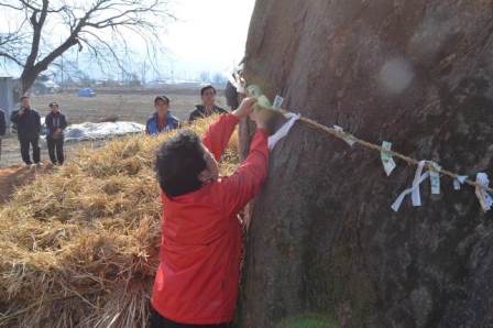 堂山木の注連縄に1万ウォン紙幣を奉納する女性の写真