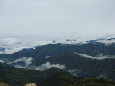 すばらしい眺めです