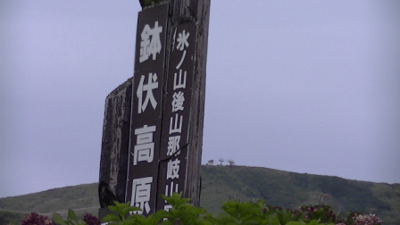鉢伏高原