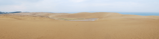 「馬の背」の風景－雨に濡れた砂が広がっています